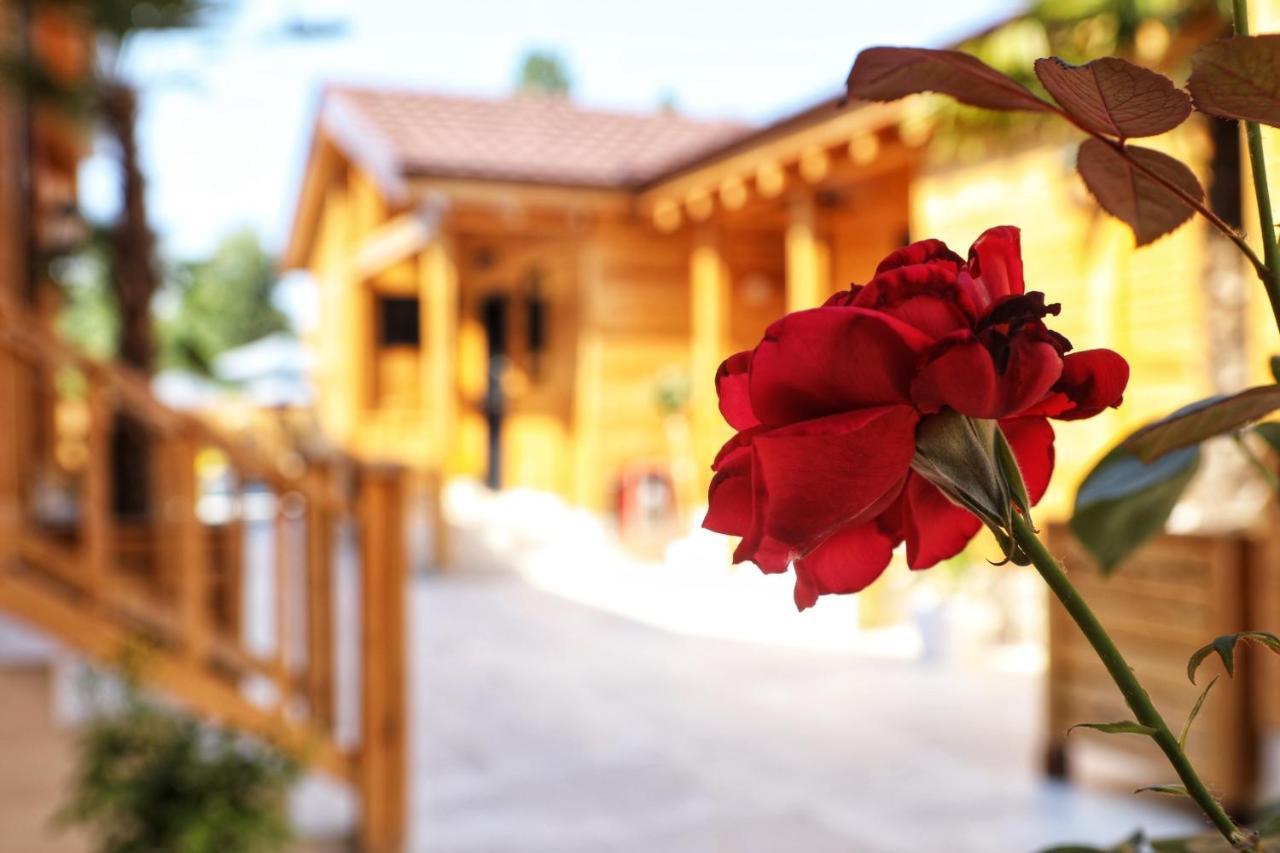 Bujtina Siar Hotel Pogradec Buitenkant foto